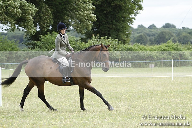 BVR160717-1800 - Ring 3 BVRC Show 16/07/17