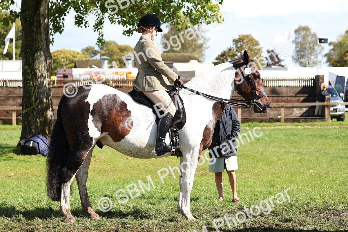 SBM_45259 - S27 - Young Veteran Ridden