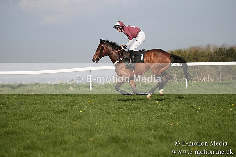 PtP 210418 581 - South & West Wilts Point-to-Point Larkhill 21/04/18