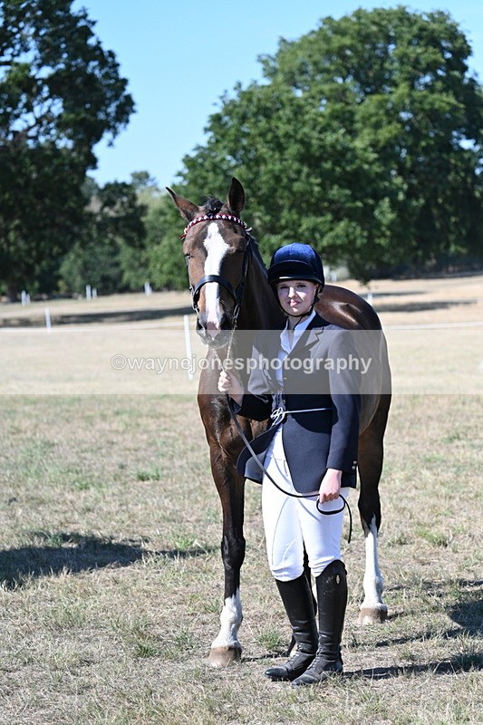 WJ7_1571 - Class 42 Most Handsome Gelding