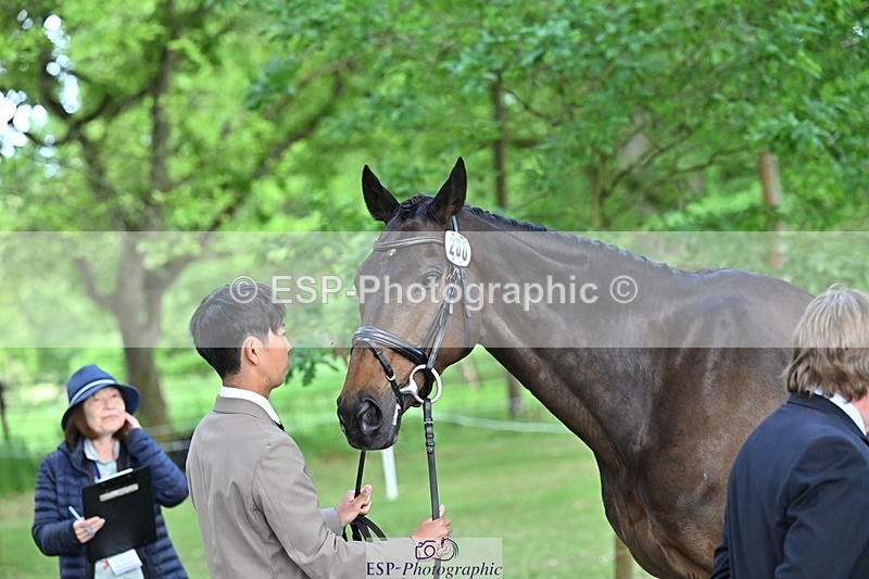 250521A-170141-01479 - C-280-Ryo.Murata-BROOKPARK.VIKENTI