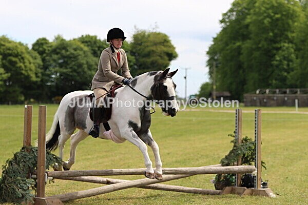 IMG_3225 - Working Hunter