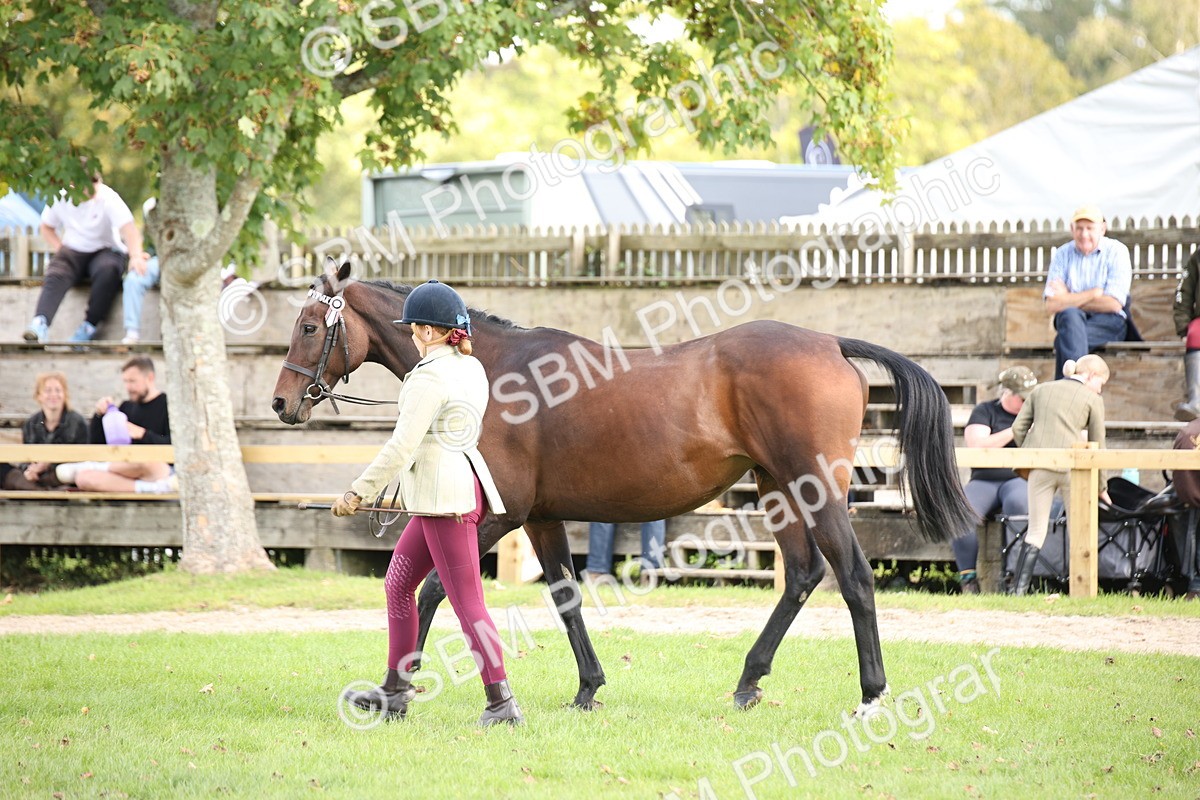 SBM_44430 - S24 - Young Veteran in hand