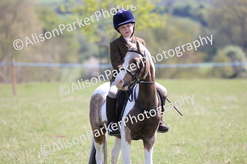20250427-3281 - Class 33 - Best Pony 14.2hh and Under