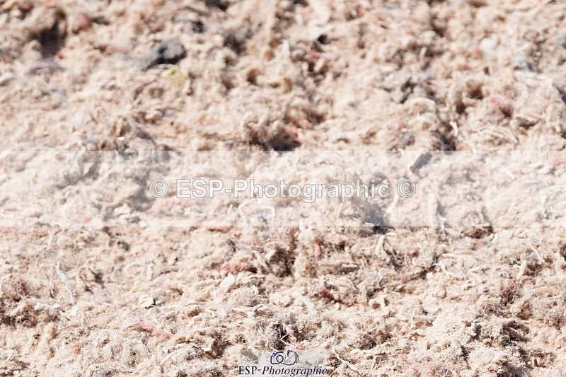 250503-150620-01617 - Cls 29 Winter-Summer