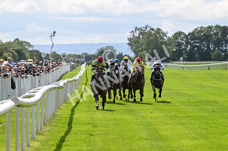 060625-Race 5-Miss Brazen-4903 - Race 5