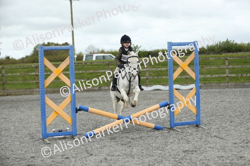20260412-0664 - Show Jumping