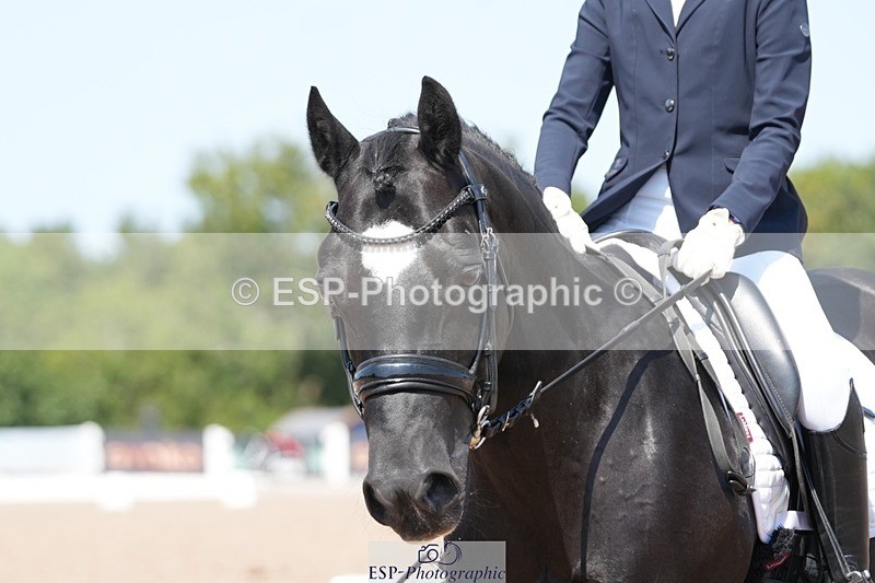 250817-134647-10501 - 171-Jessica.LaceyMoelwyn.Lowri.Ddu