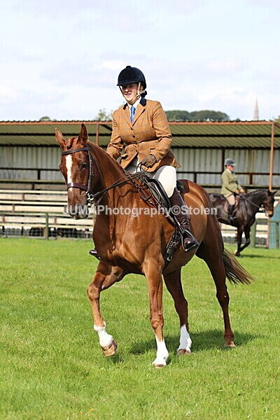 SIAL6961 - Ring 1 & 3