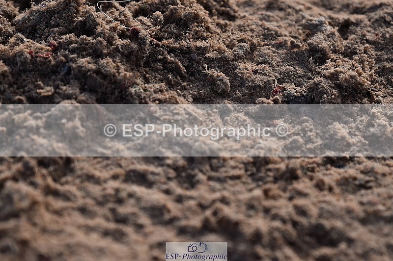 231105A-130350-00997 - 90cm