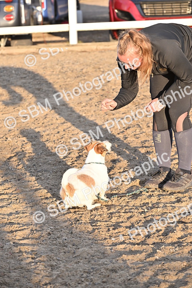 SBM_09686 - Lorry Dogs