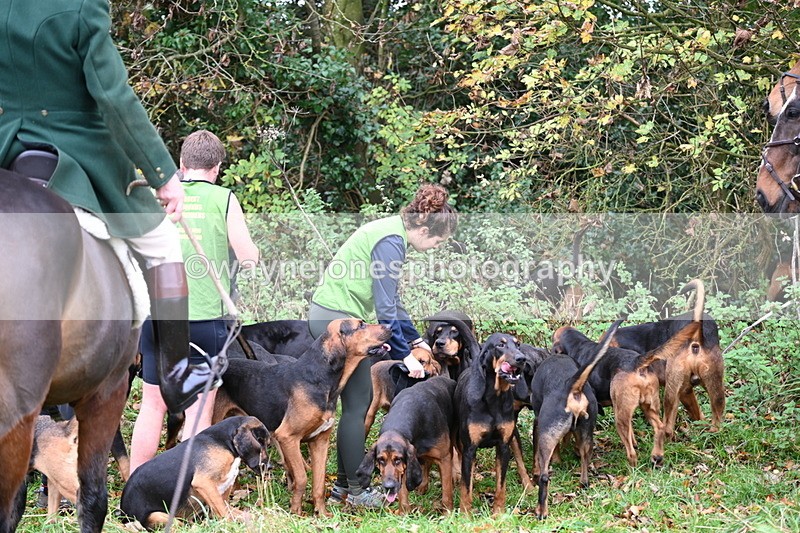 WJ6_8540 - Meet