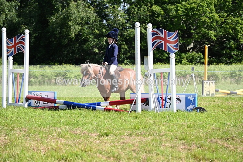WJ6_3733 - Class 1 Tiny Cross Poles