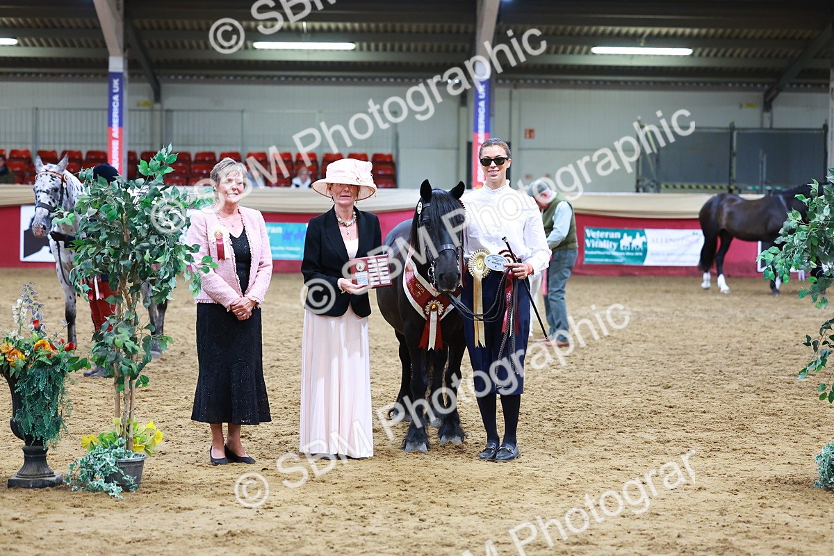 SBM_16289 - Class 901 - Sup Final - IH Diamond