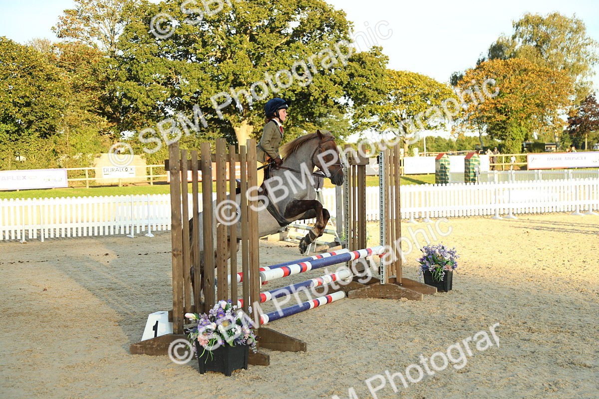 SBM_53911 - J8 - Junior Pony 65cm Championship