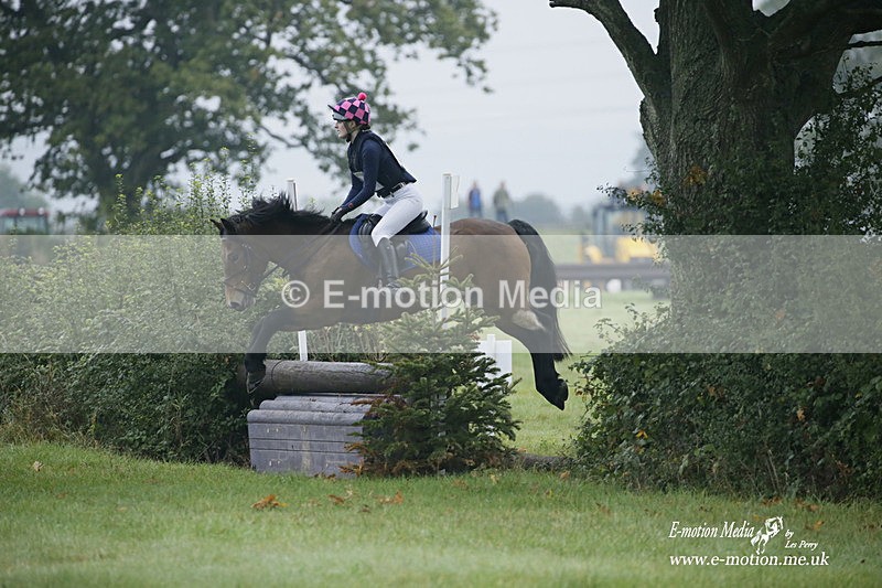 WWHT 171021 0037 - Novice Restricted (0.80m)  17/10/21