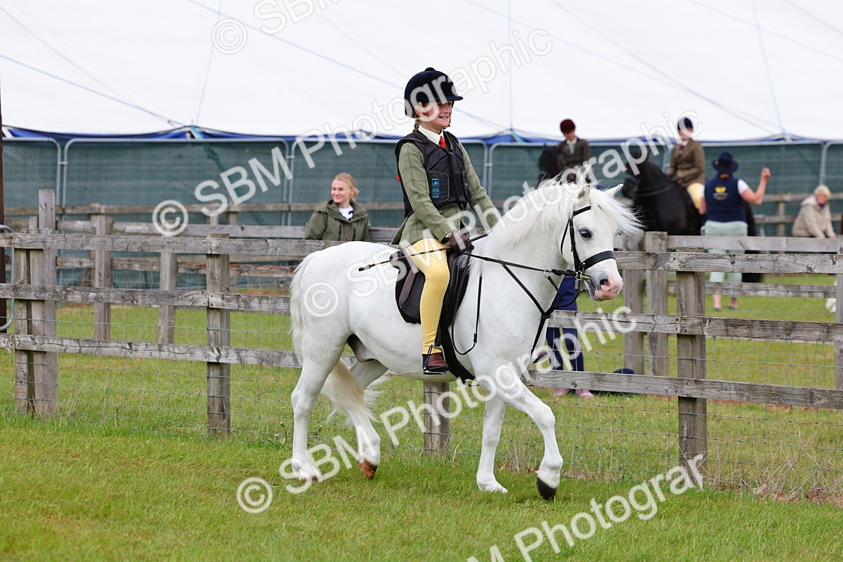 SBM_08519 - Class 42-43 - LIHS BSPS Heritage Working Sports Pony