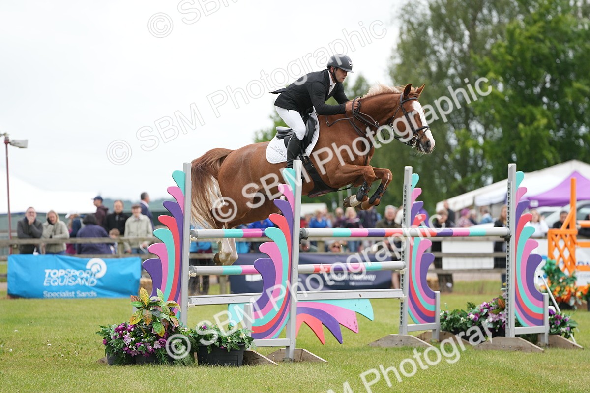 SBM_03215 - Class 201 - British Horse Feeds Speedi Beet Horse of the Year Show Grade  C