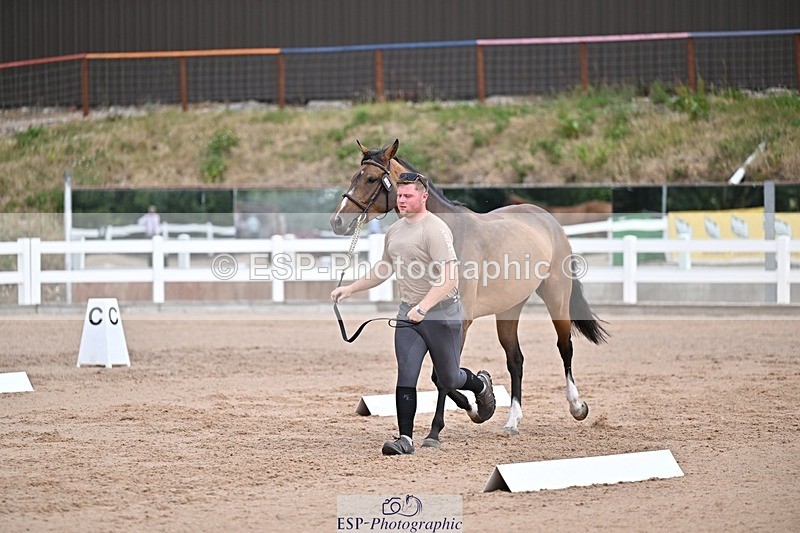 250716-131525-00409 - Trot Up 12.30 to 1.30