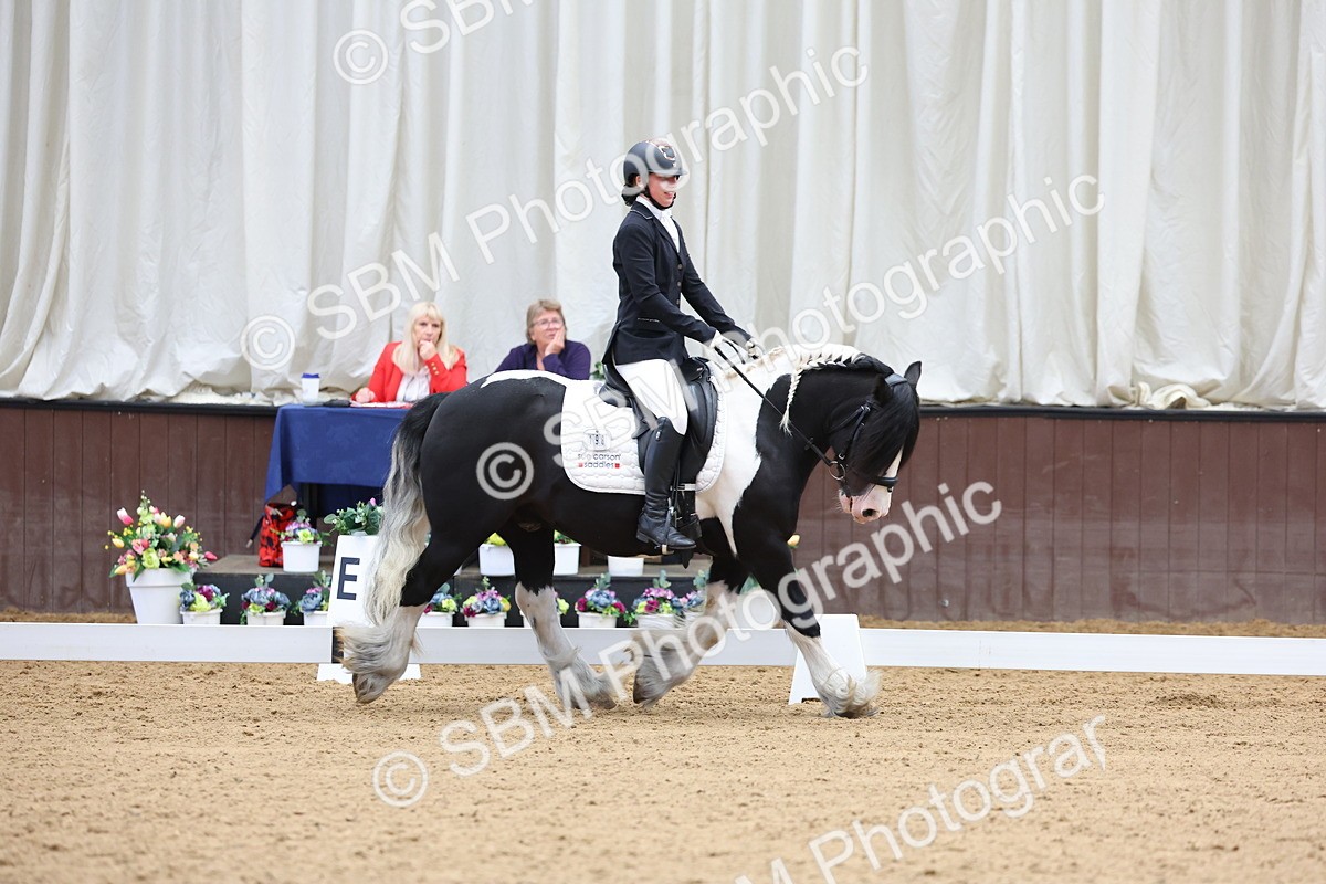 SBM_015999 - Class 15 - Novice FSM - 9.50 - 11.10