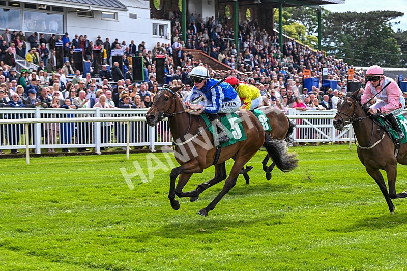 160526-Race 2-Kodi Bear Light-9319 - Race 2 2.23pm Marion Gibson Brown Memorial - Irish EBF Restricted Maiden Fillies' Stakes (Div II)