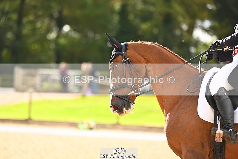 231020-140940-09854 - 305-CHILLI.KNIGHT-Gemma.Stevens-DR