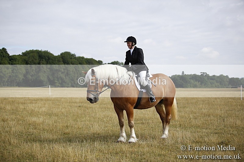 _C7A9314 - BVRC Show 2018 Ring 1