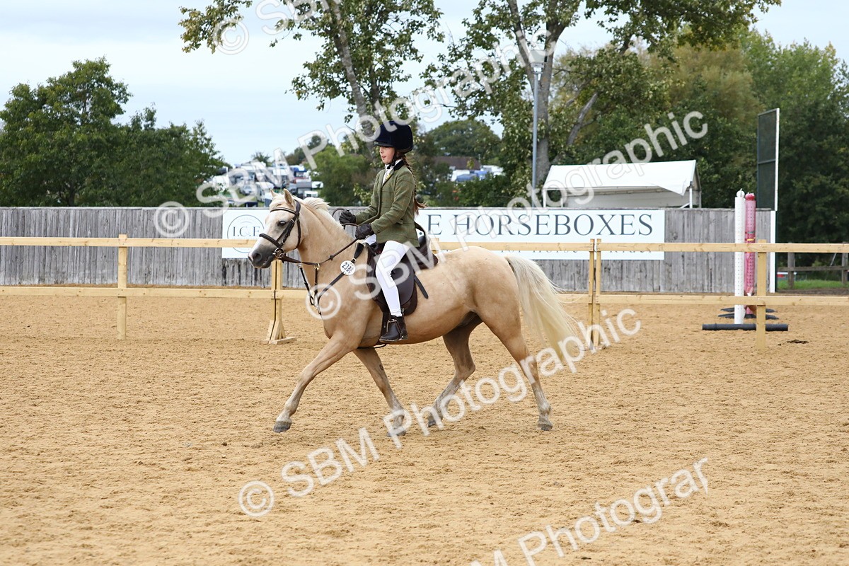 SBM_68095 - J3b - Mini Tour Junior Pony 40cm Championship