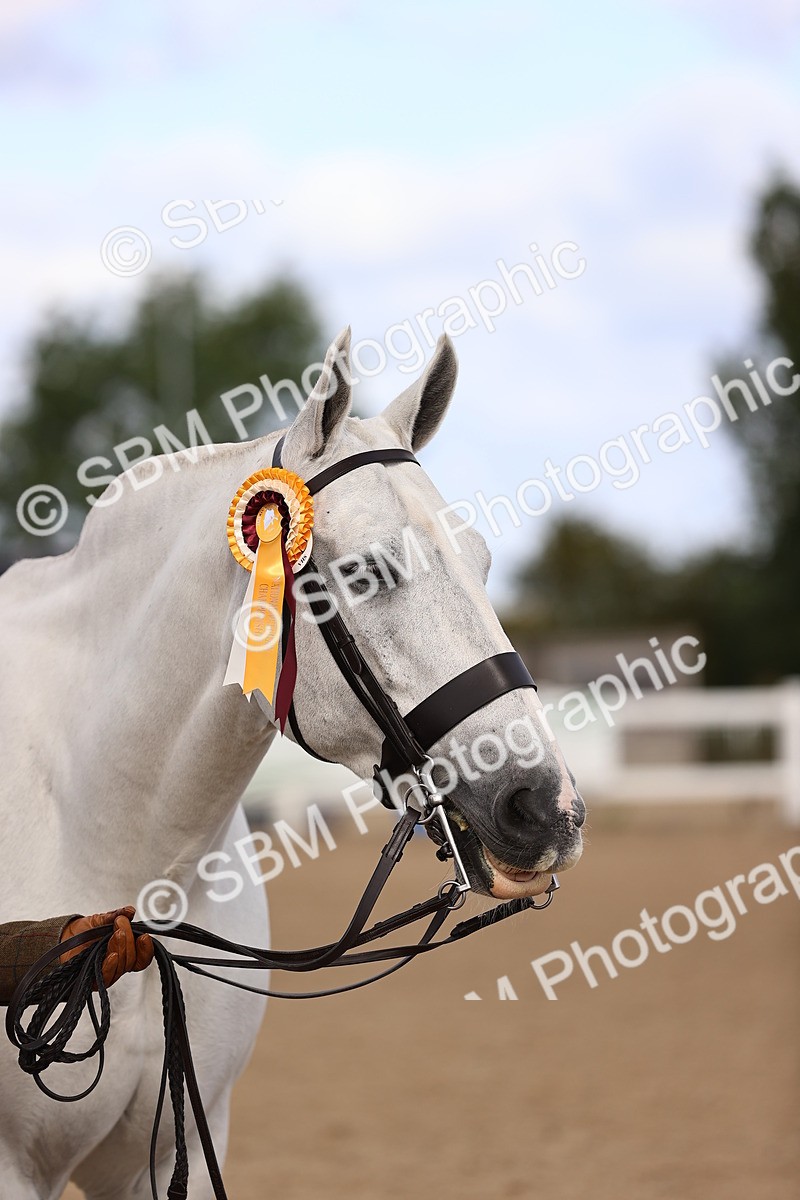 SBM_10400 - Class 405 - IH Show Cob