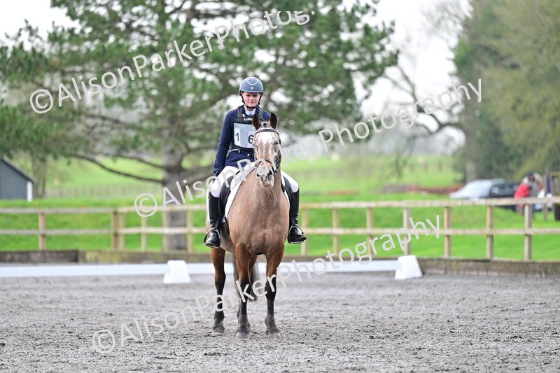 20260125-3685 - Class 12 - Novice