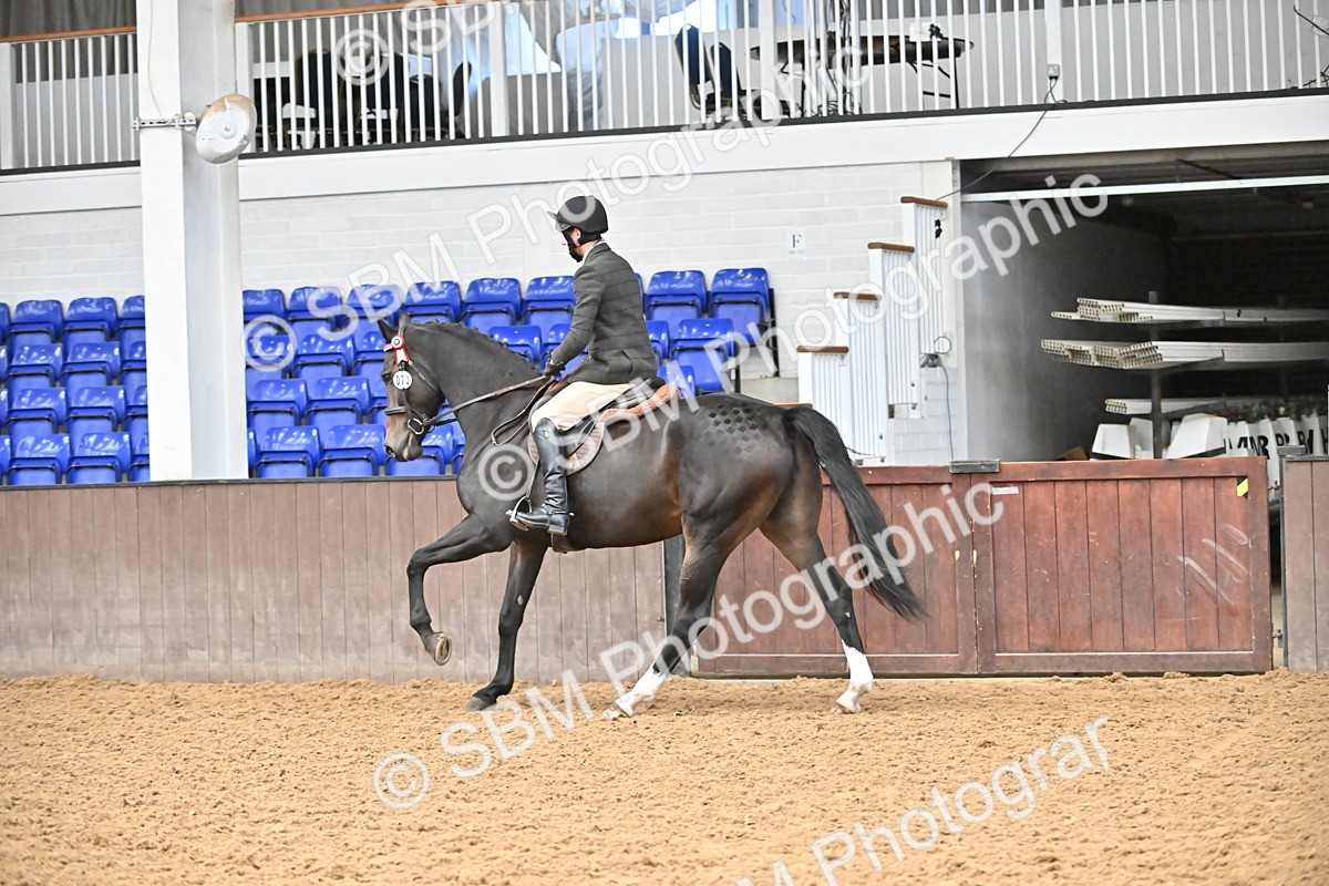 SBM_001469 - Class 19,20 - Ridden Native, Foreign Breeds & Warmbloods