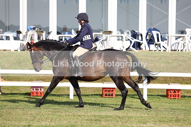 3E7A5483 - Class 2: Rising Star Large Hack/Riding Horse