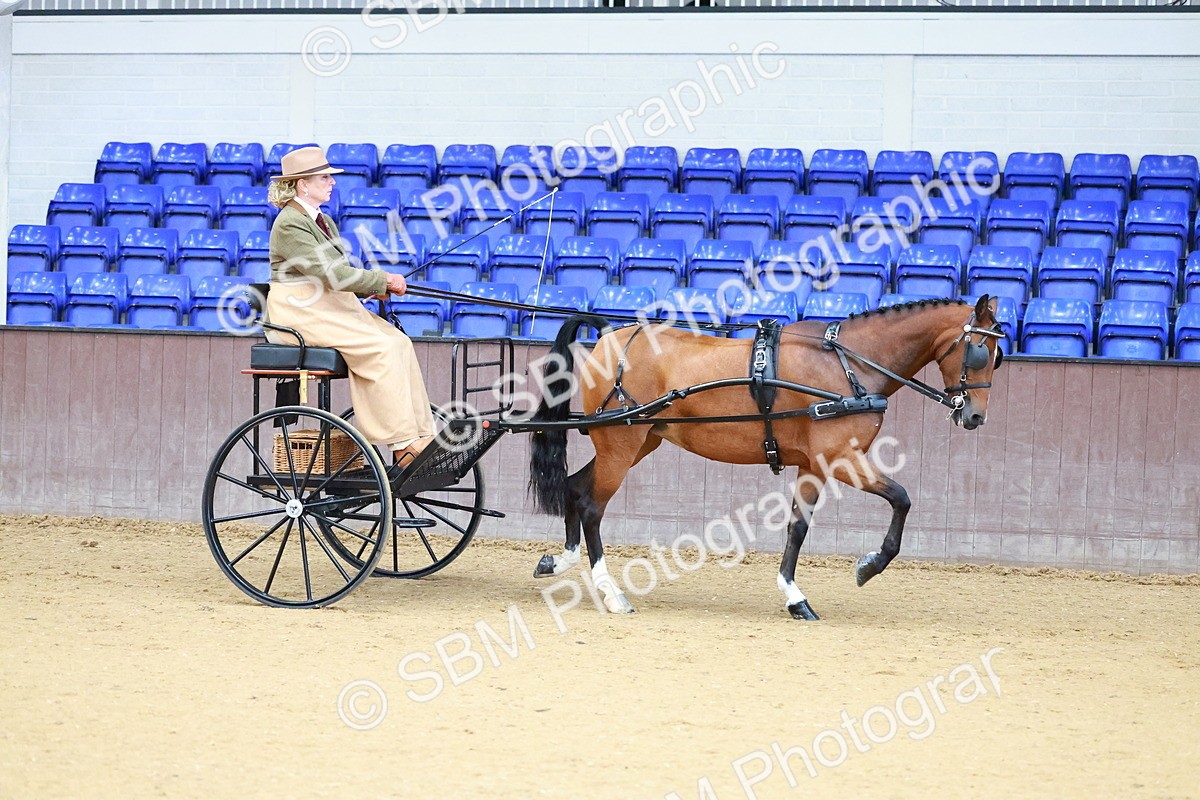 SBM_000089 - Class 3 - Alison Thomas Memorial Lady Whip