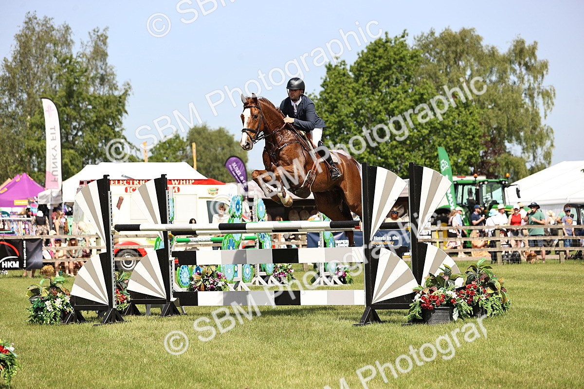 SBM_03291 - Class 201 - British Horse Feedds Speedi Beet HOYS Grade C