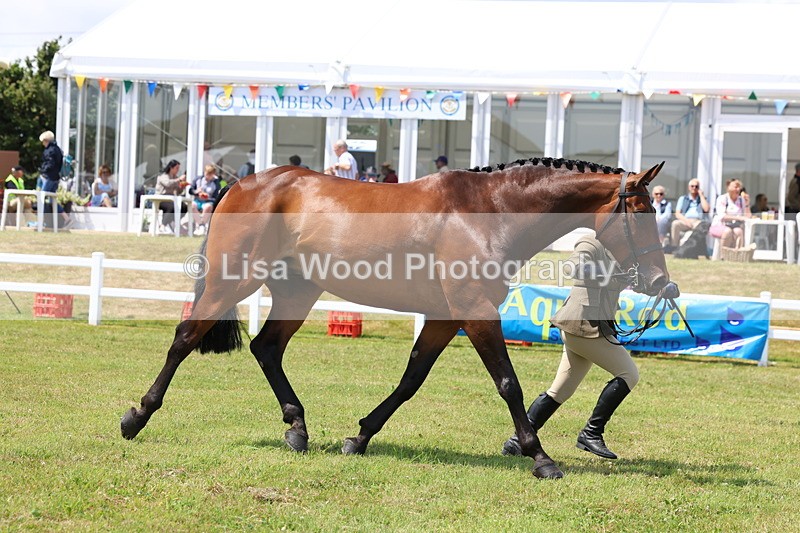 3E7A1706 - Class 9: Open Hunter