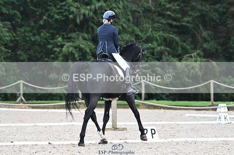 231110-144046-01996 - Cls 8 Medium 75Q