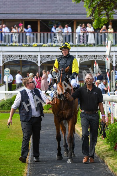 270523-Race 5-Starnberg-0801 - Race 5 3.50pm William Hill Extra Place Races Daily Handicap