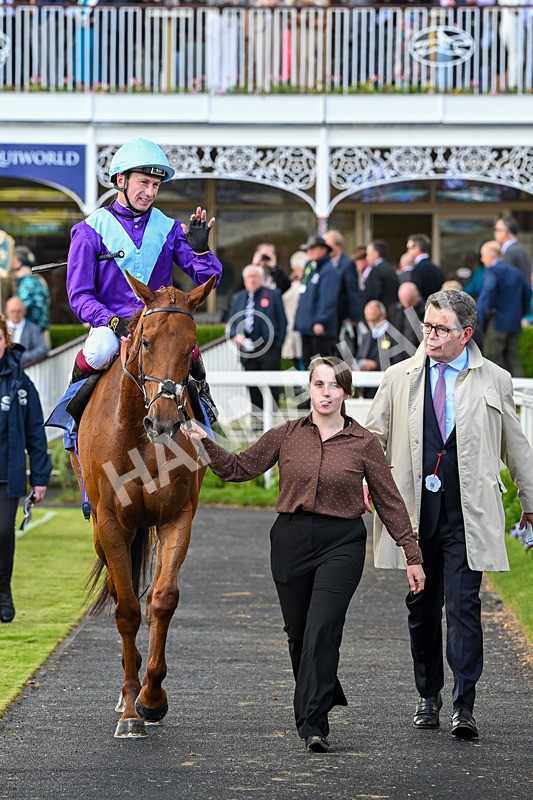 140526-Race 4-See The Fire-5270 - Race 4 3.30pm Al Basti Equiworld Dubai Middleton Fillies' Stakes