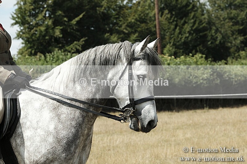 _PJP5979 - BVRC Show 2018 Ring 1