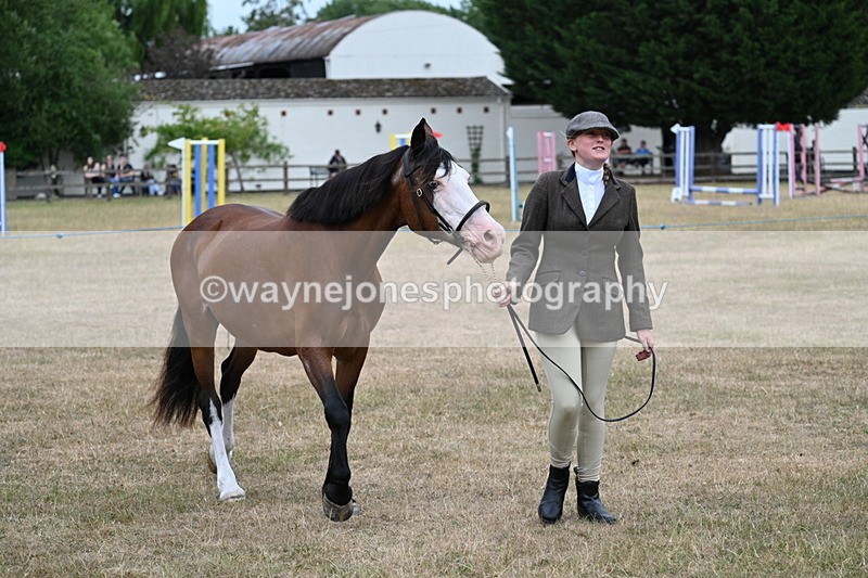 WJ7_8461 - Class 4 Prettiest Mare up to 14.2hh