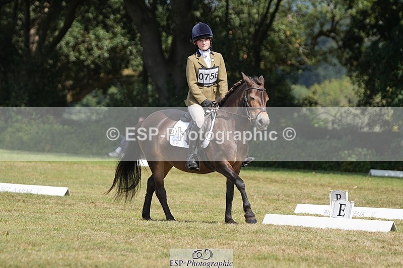 250823A-135011-31085 - Arena B