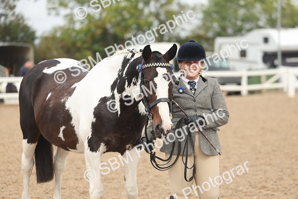 SBM_02113 - Class 15 - IH Coloured