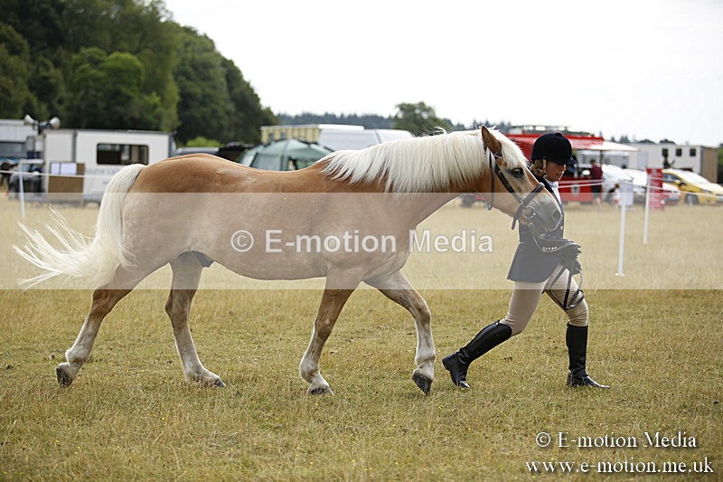 _C7A9424 - BVRC Sow 2018 Ring 2