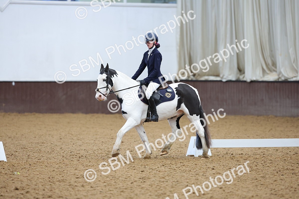 SBM_003066 - Novice