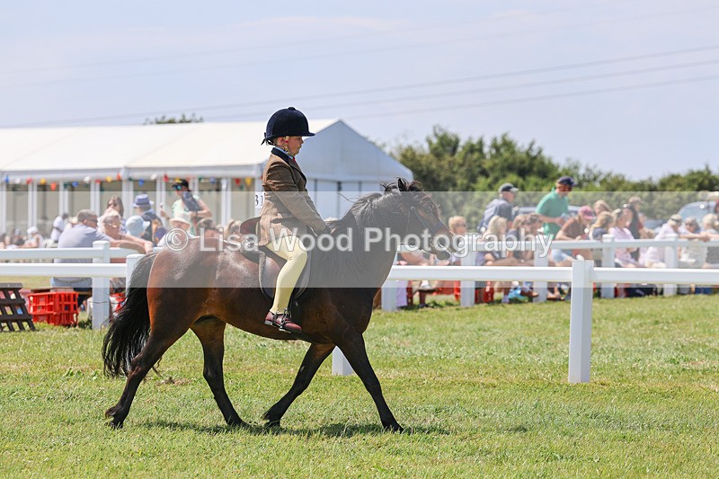 IMG_3040 - M&M Mini Ridden Championship