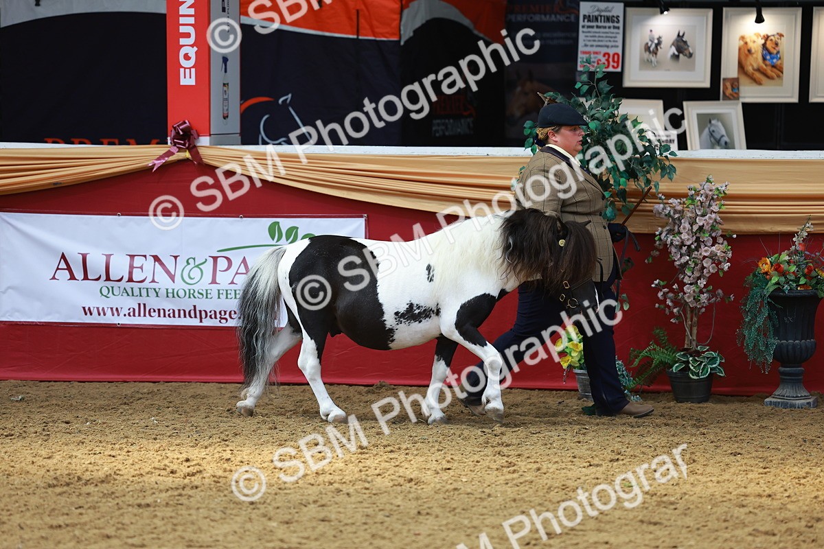 SBM_04172 - Class 9R - IH Pre-Vet