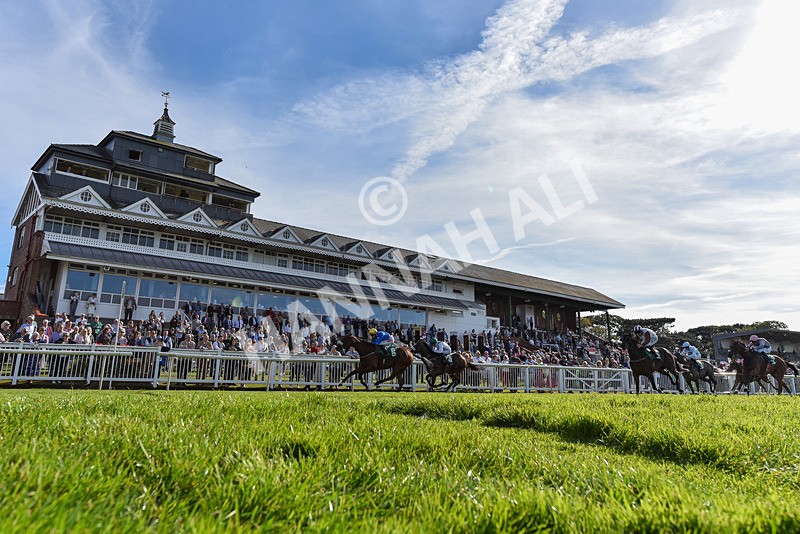 160924-Race 5-King Of The Jungle-6696 - Race 5