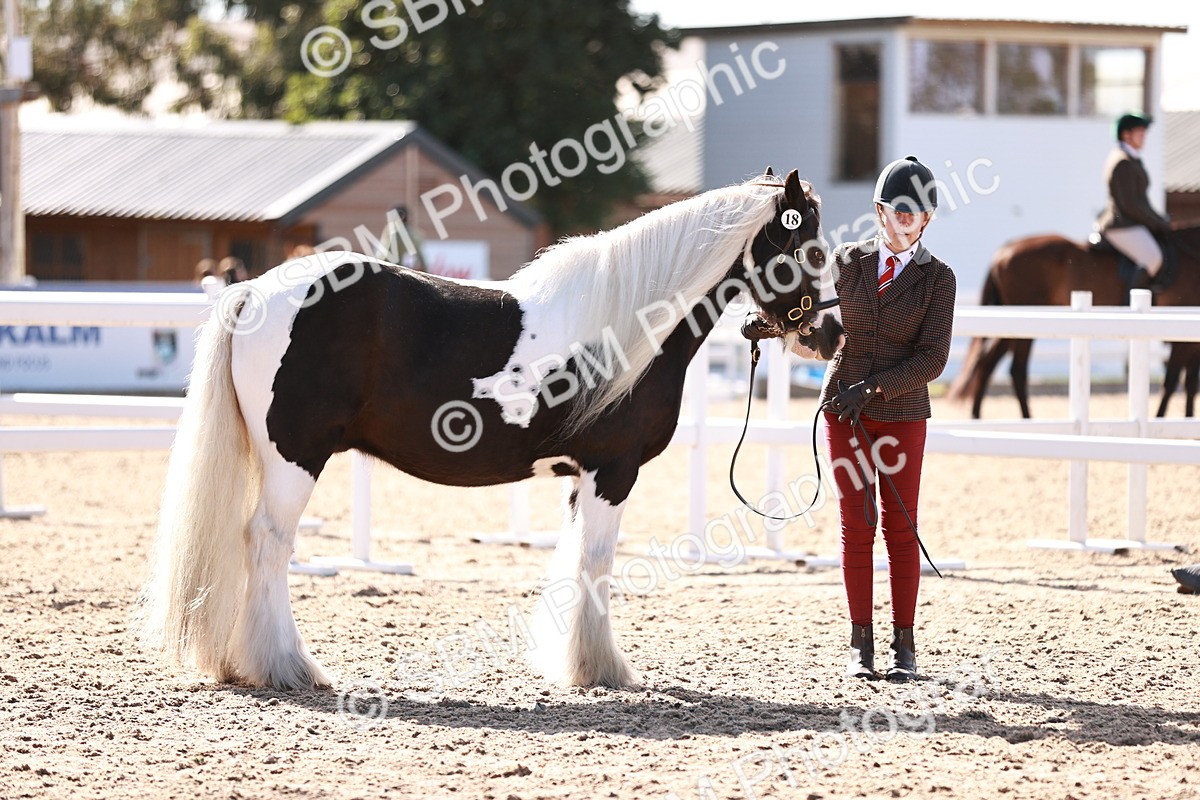 SBM_12564 - Class 404 - IH Traditional - Native Cob