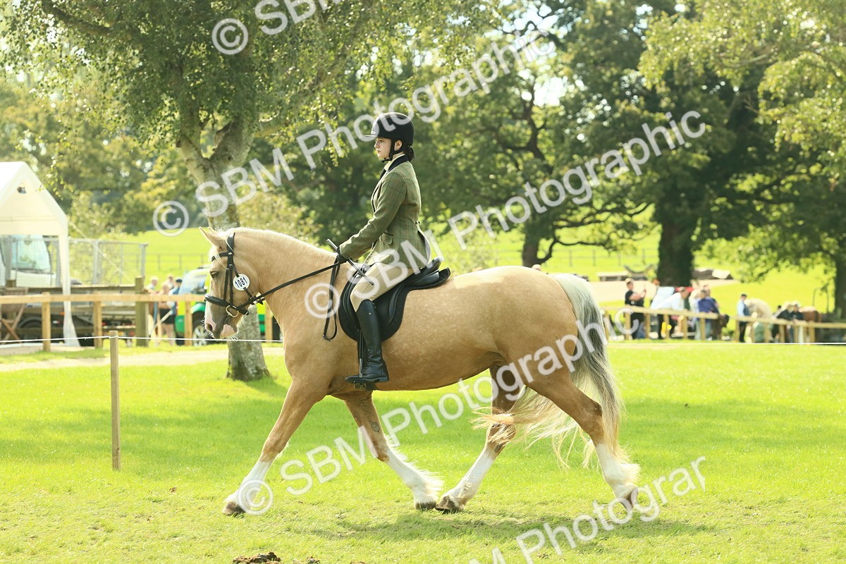 SBM_62655 - S63 - Other Coloured Horse Ridden
