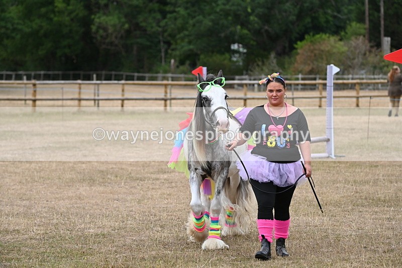 WJ6_8878 - Class 11 Fancy Dress
